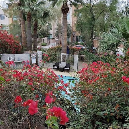 Desert Rose Villas - Private One Bedroom In Old Town سكوتسدايل المظهر الخارجي الصورة