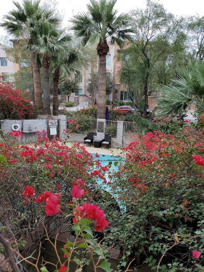 Desert Rose Villas - Private One Bedroom In Old Town سكوتسدايل المظهر الخارجي الصورة